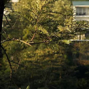 *** Resort Falcon Crest Indien